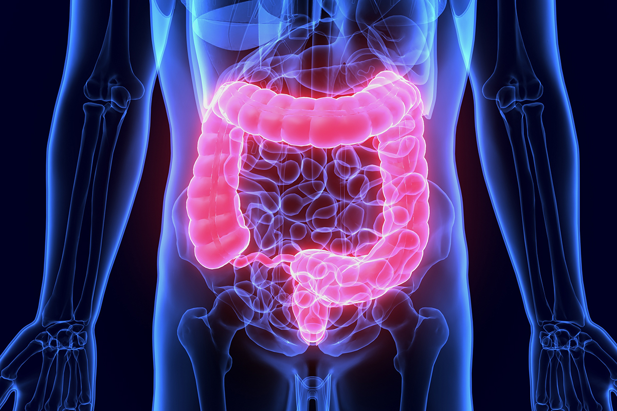 Gut Health and Bone Health: What's the Link?