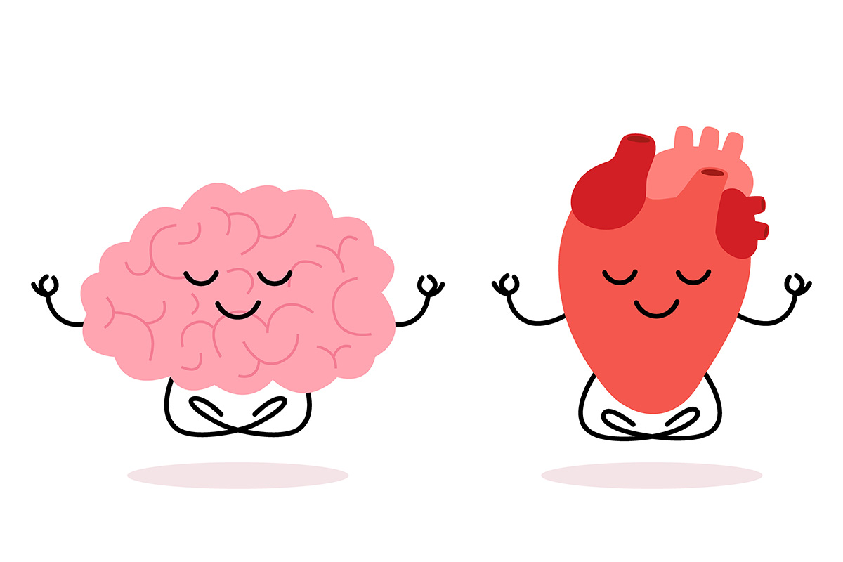 Heart Brain Connection