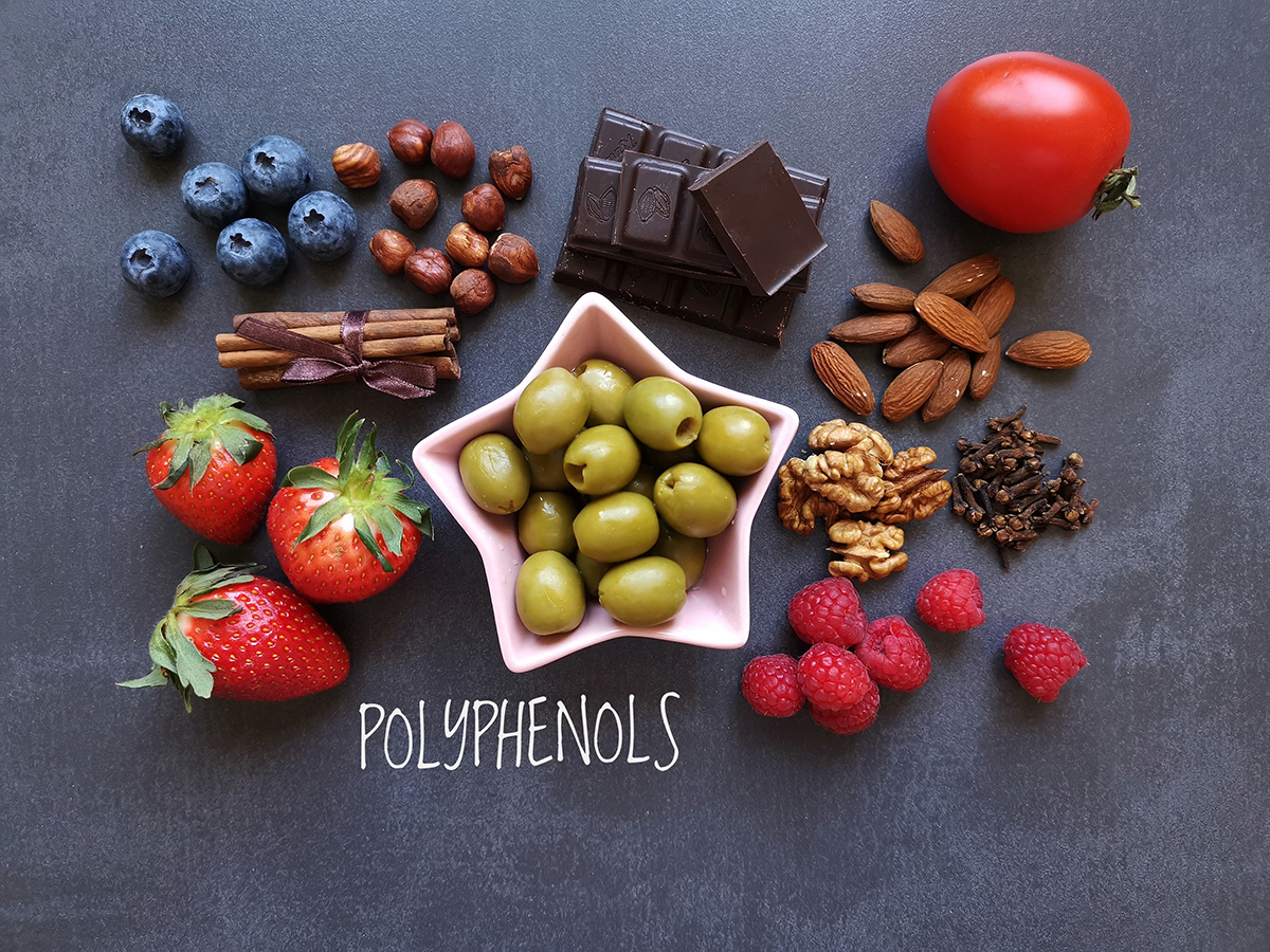 Polyphenols and Osteoporosis: A New Preventive Measure?