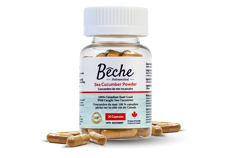 Beche Sea Cucumber Capsules